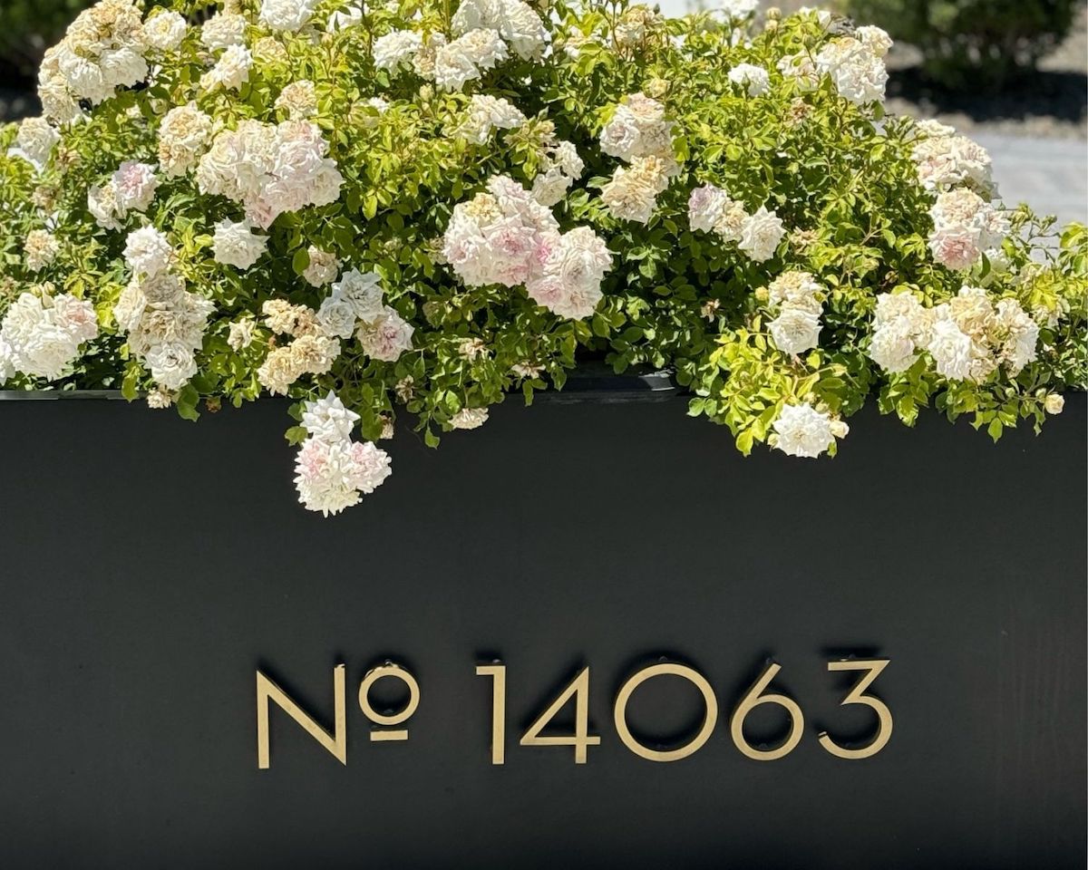 Your house numbers. Elevated.