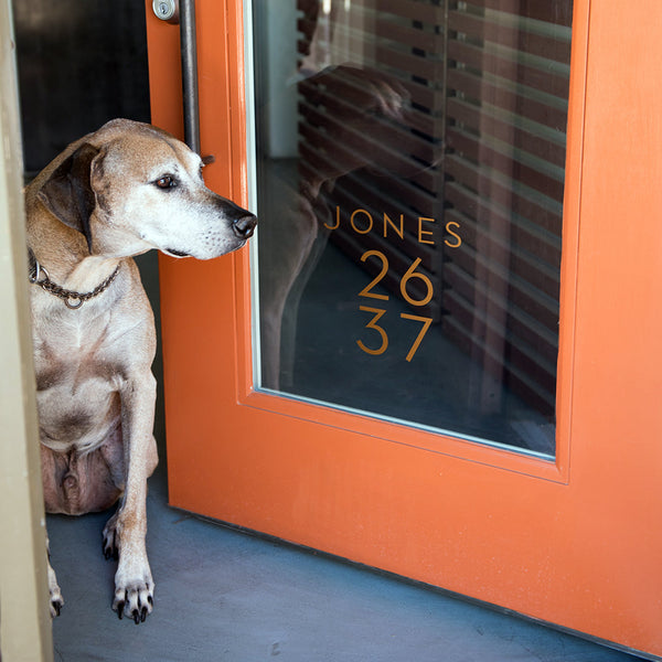 House Numbers Without Drilling: Easy Install Guide